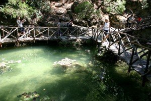 Valley of Butterflies